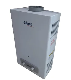 CHAUFFE-EAU A GAZ 10L