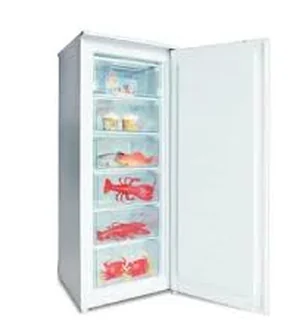 CONGELATEUR 165L BLANC R134a